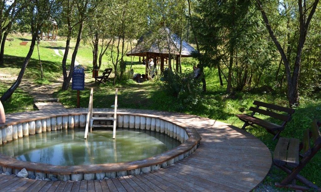 Borszék kislábferedő