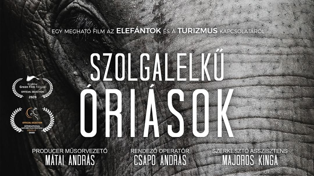 Szolgalelkű Óriások elefántos film