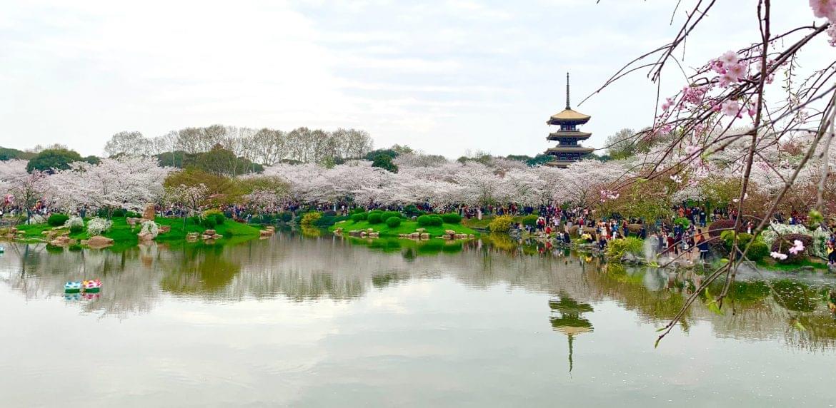 Wuhan aranyhét turizmus