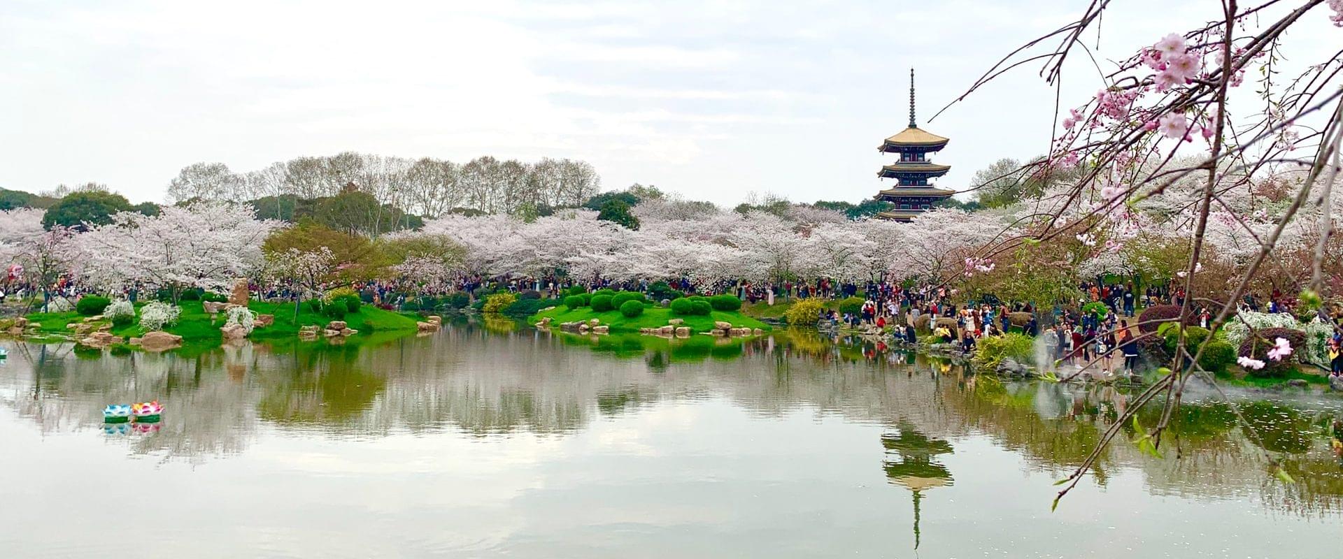 Wuhan aranyhét turizmus