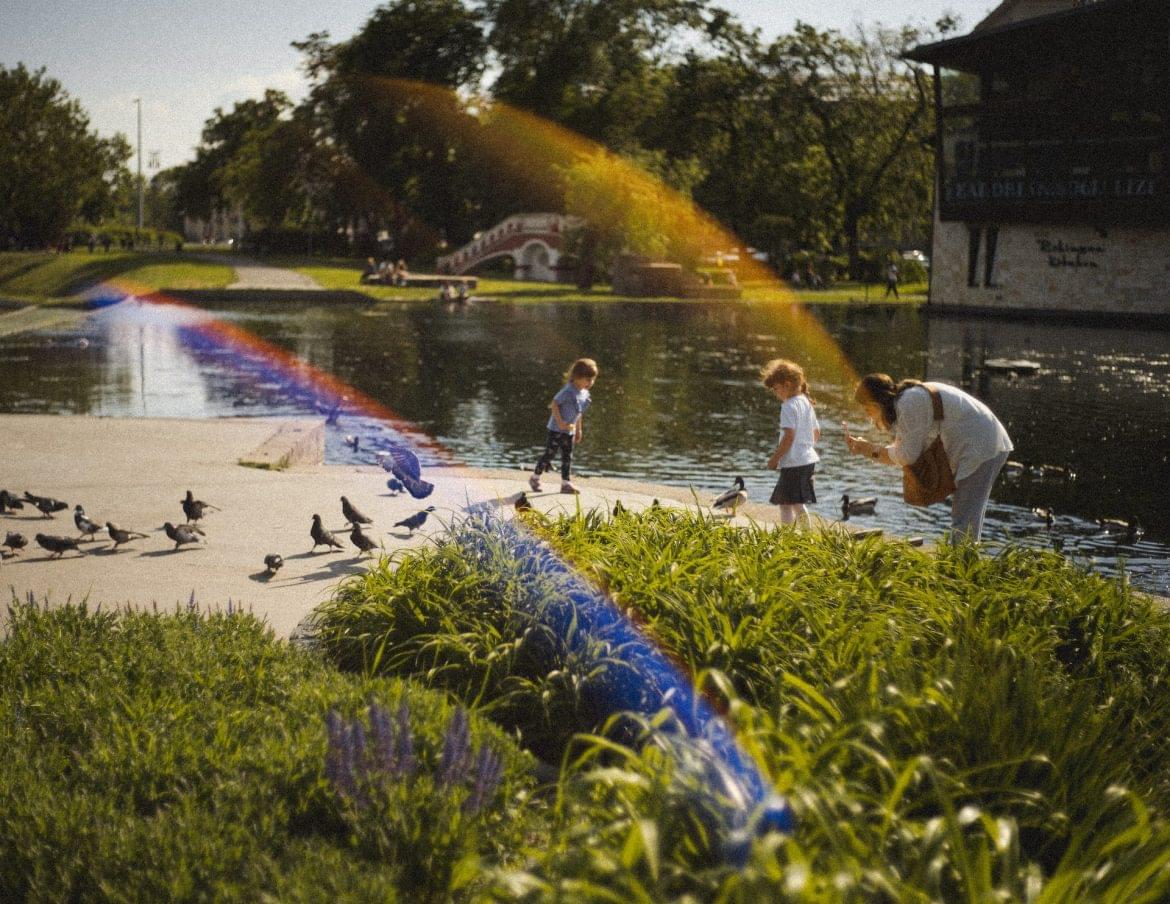 Varázsliget Városliget augusztus 20 2022