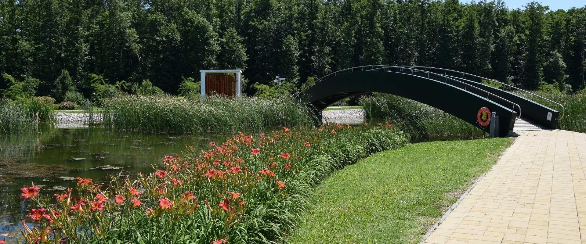 Zalakaros 10 program, látnivaló, termál-tó.