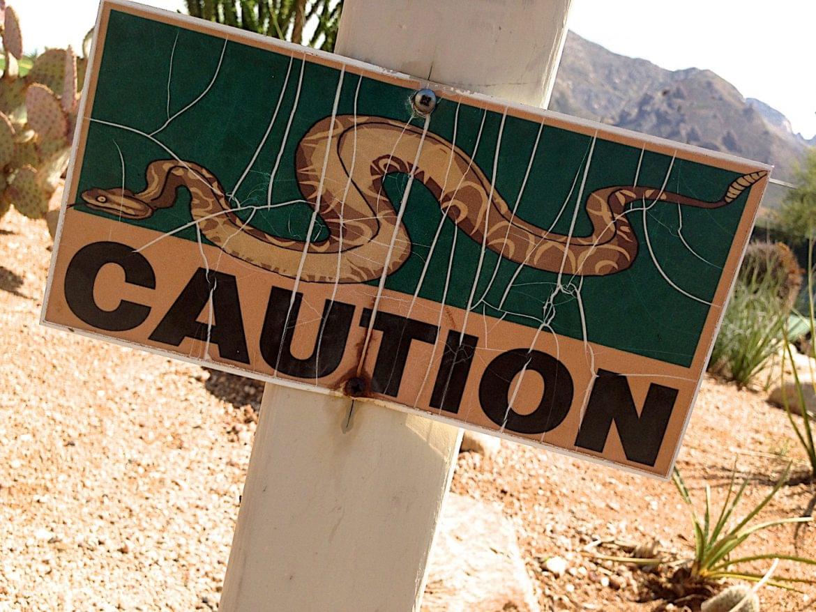 óriási kígyót találtak utasszállító repülő Malájzia