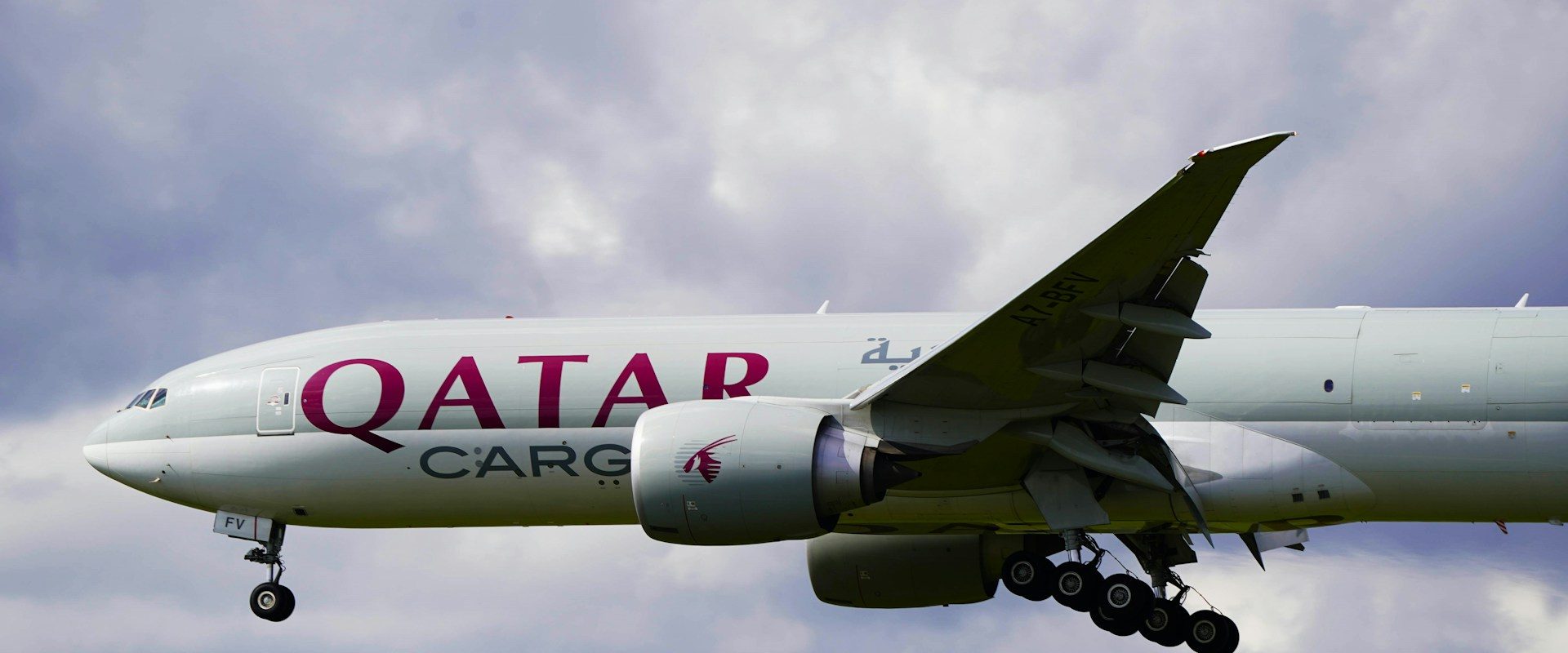élőállat szállítás Animal center Qatar Airways Cargo