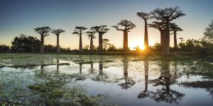 Madagaszkár Emirates repülőjegy