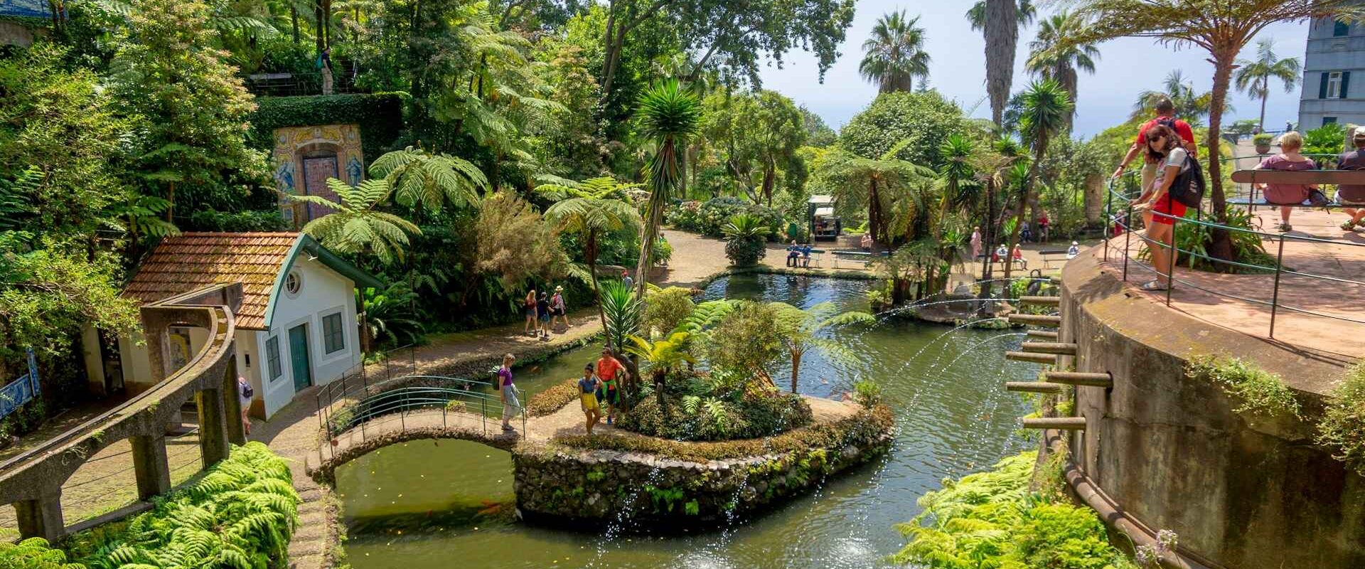 madeira pozsony katar kozvetlen jarat