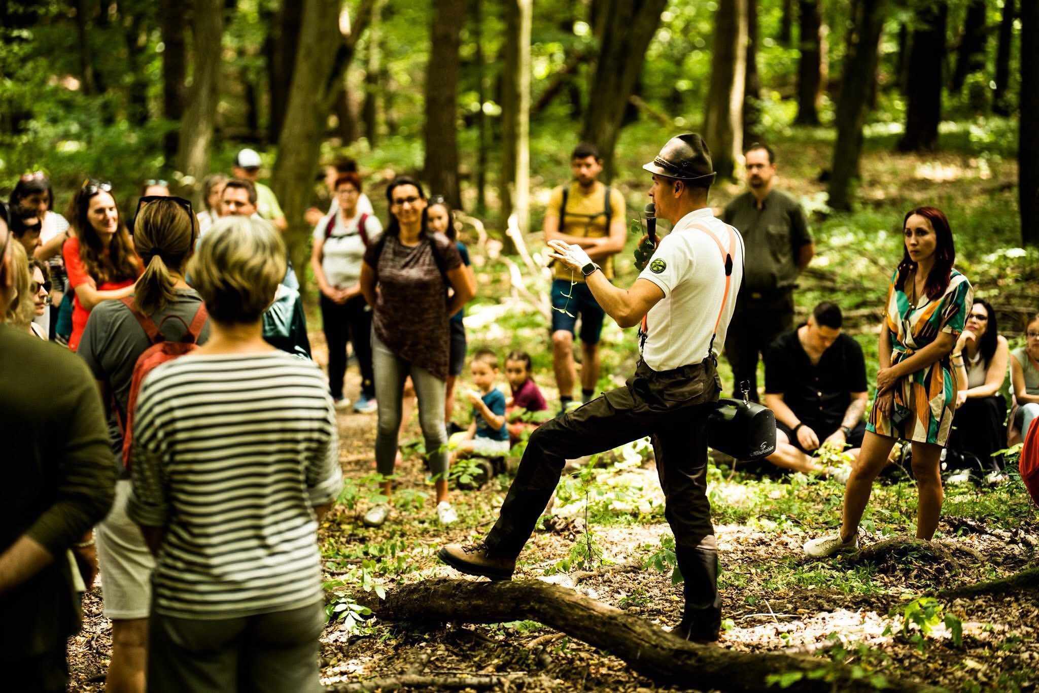 miskolc ehető erdő green destinations top100