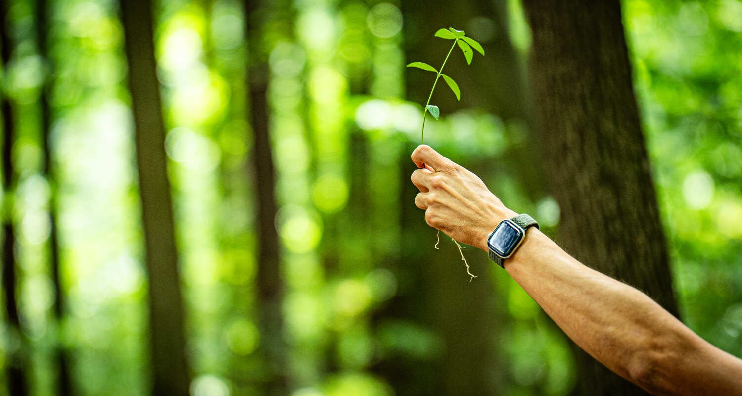utazz tudatosan fenntartható magyar turizmus