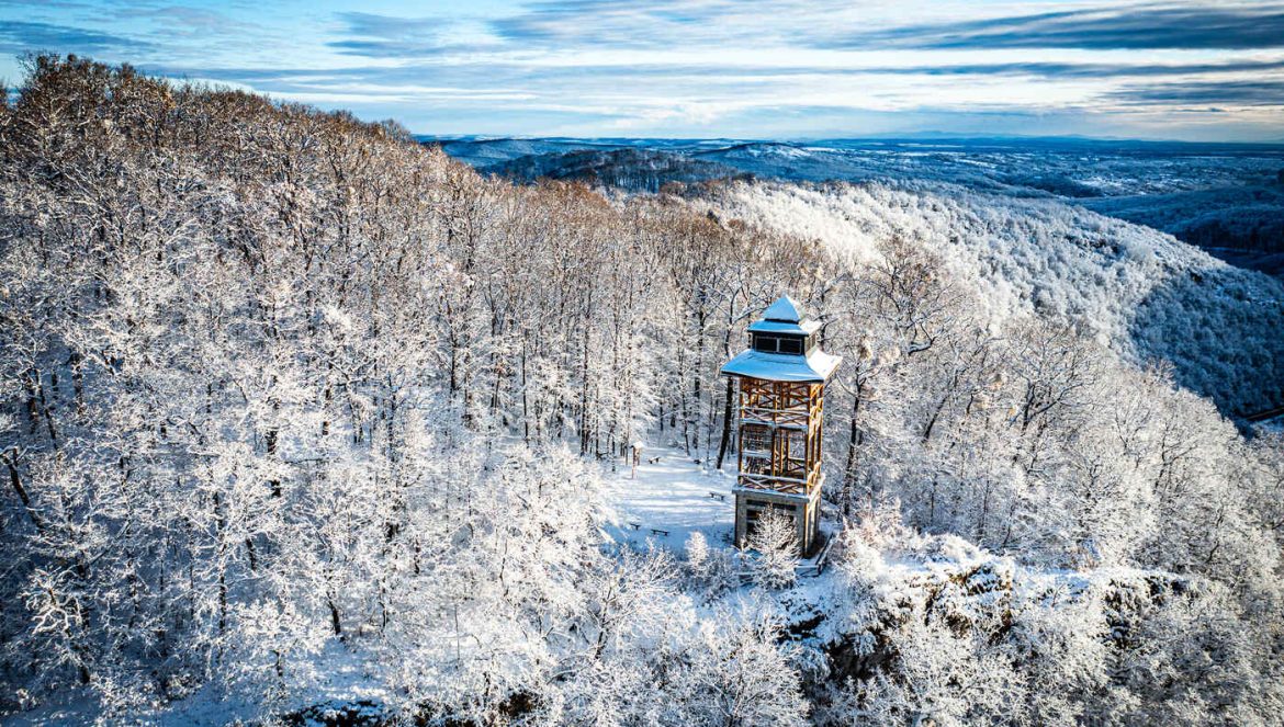 vendégéjszaka 2025 november vendégszám