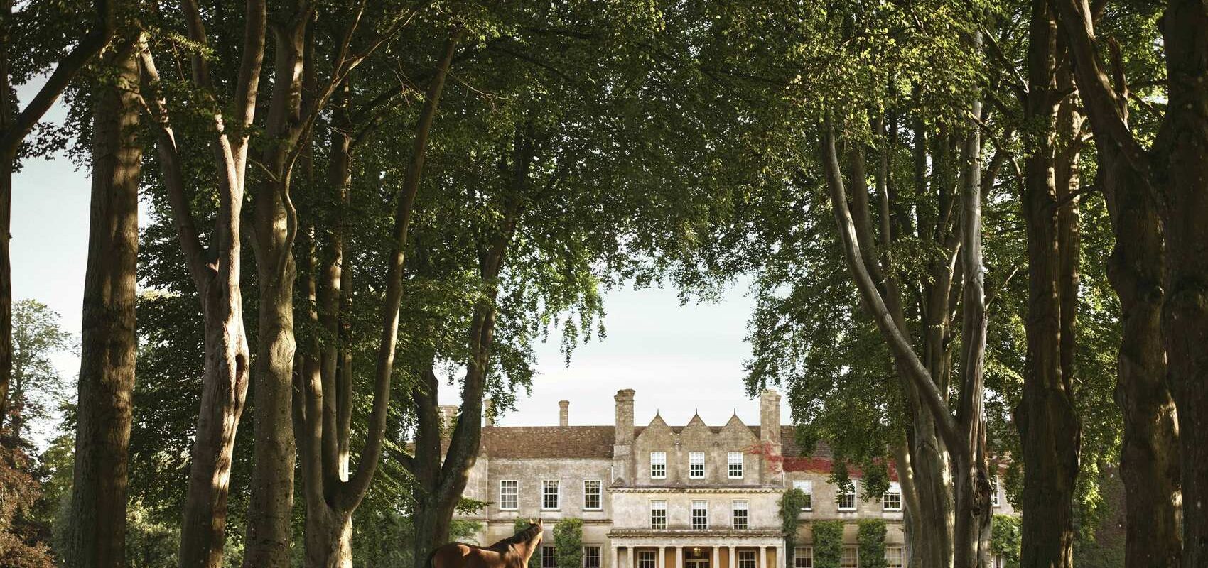 accor új szállodák