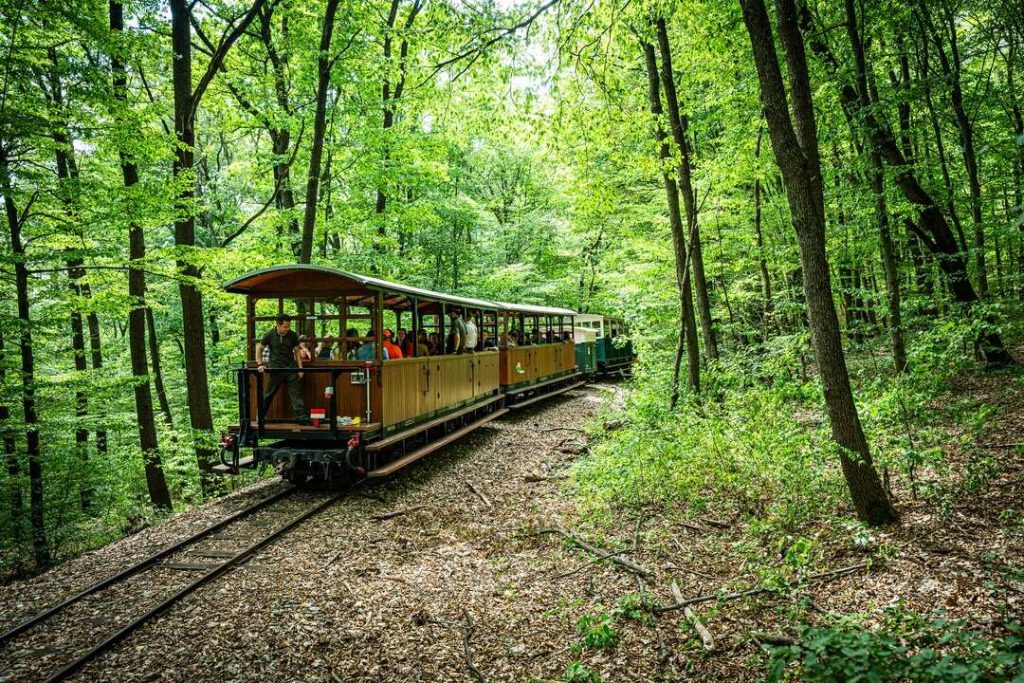 Miskolc Ehető Erdő Erdei Gasztroexpressz Green Destinations első helyezett