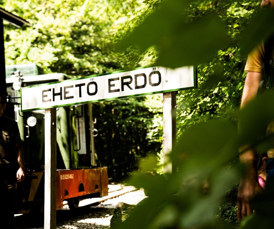 Miskolc Ehető Erdő Erdei Gasztroexpressz Green Destinations első helyezett