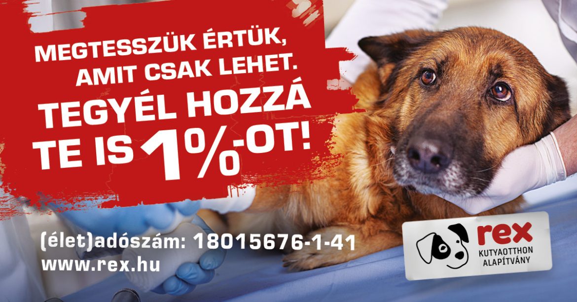Rex 1% SZJA felajánlás